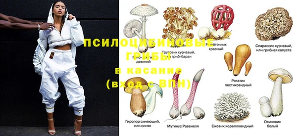 гидропоника Богданович